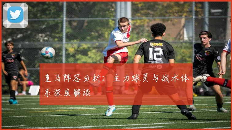 皇马阵容分析：主力球员与战术体系深度解读