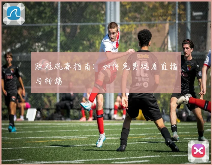 欧冠观赛指南：如何免费观看直播与转播