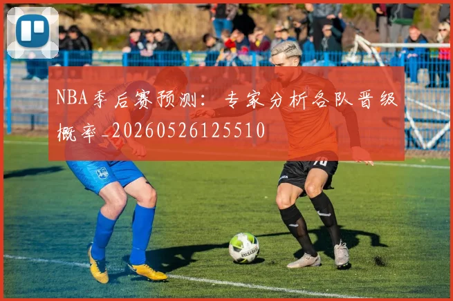 NBA季后赛预测：专家分析各队晋级概率_20260526125510
