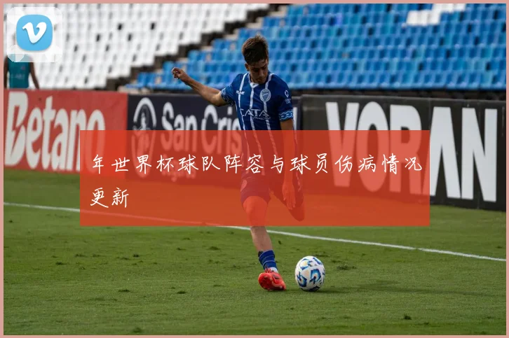 年世界杯球队阵容与球员伤病情况更新