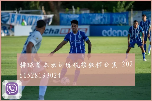 排球基本功训练视频教程合集_20260528193024