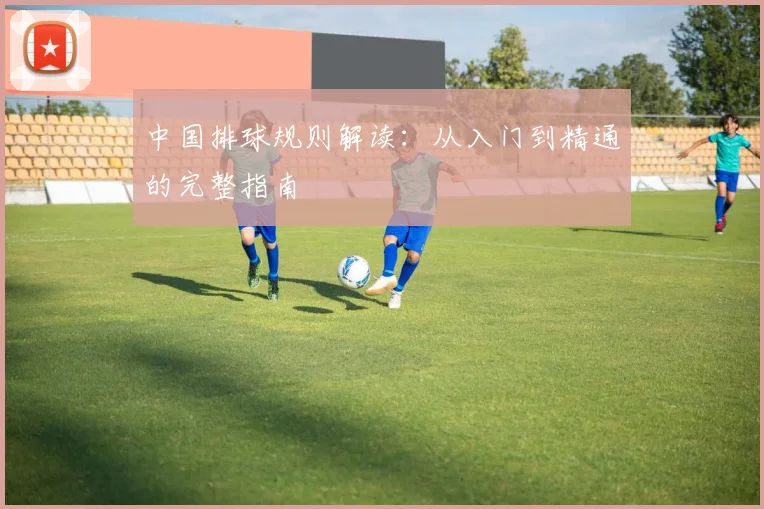 中国排球规则解读：从入门到精通的完整指南
